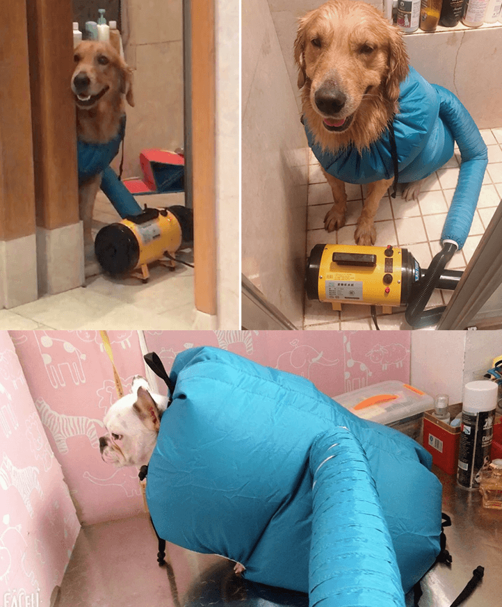 Quickdry Pet Hair Drying Bag